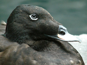 Смотреть фото Турпан Фото Турпан