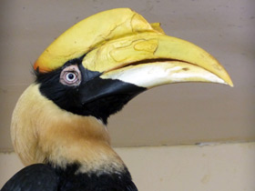 Смотреть фото Чья семья самая дружная? Самые верные животные Фото Чья семья самая дружная? Самые верные животные