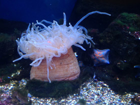 Смотреть фото Утрицина Фото Утрицина