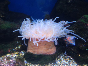 Смотреть фото Утрицина Фото Утрицина