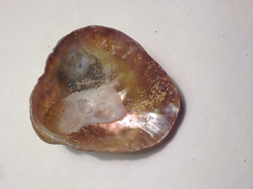 Смотреть фото Аномии Фото Аномии