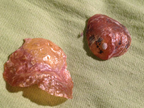 Смотреть фото Аномии Фото Аномии