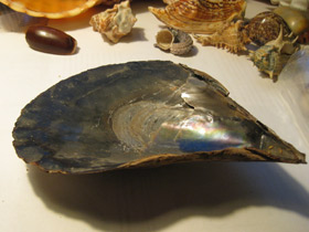 Смотреть фото Пинновые Фото Пинновые