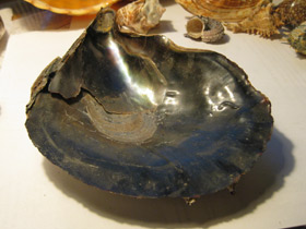 Смотреть фото Пинновые Фото Пинновые