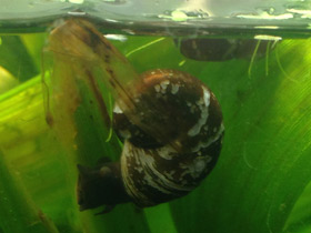 Смотреть фото Катушки Фото Катушки