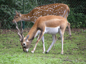 Смотреть фото Гарна Фото Гарна