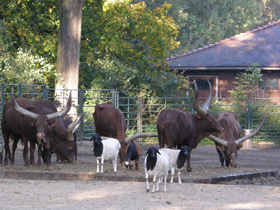 Фото Осенняя диета