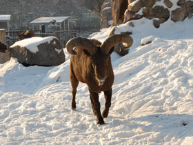 Фото Дагестанский тур