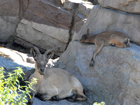 Фото Дагестанский тур