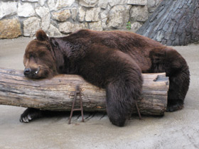 Смотреть фото Малыши с зеленой площадки Фото Малыши с зеленой площадки