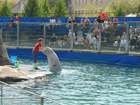 Фото Белуха