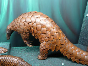 Смотреть фото Гигантский ящер Фото Гигантский ящер