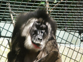 Смотреть фото Дрил Фото Дрил