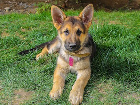 Смотреть фото Маленький герой Фото Маленький герой