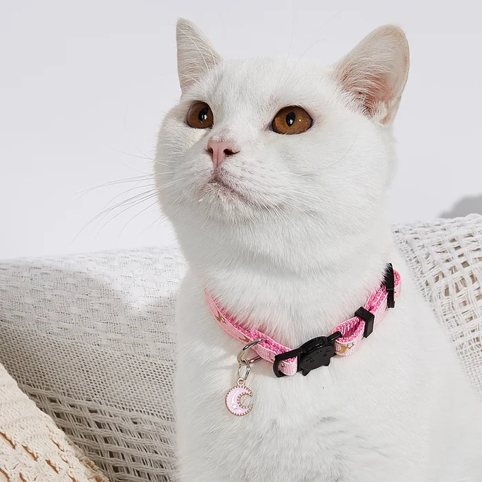 Ошейник от блох – что нужно знать