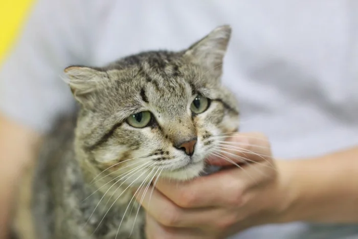 Травматология